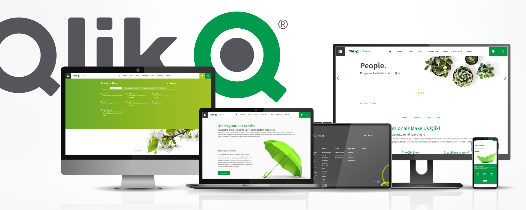 Qlik